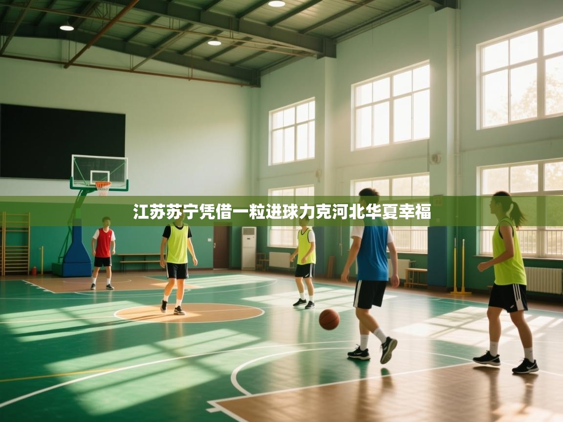 江苏苏宁凭借一粒进球力克河北华夏幸福  第1张