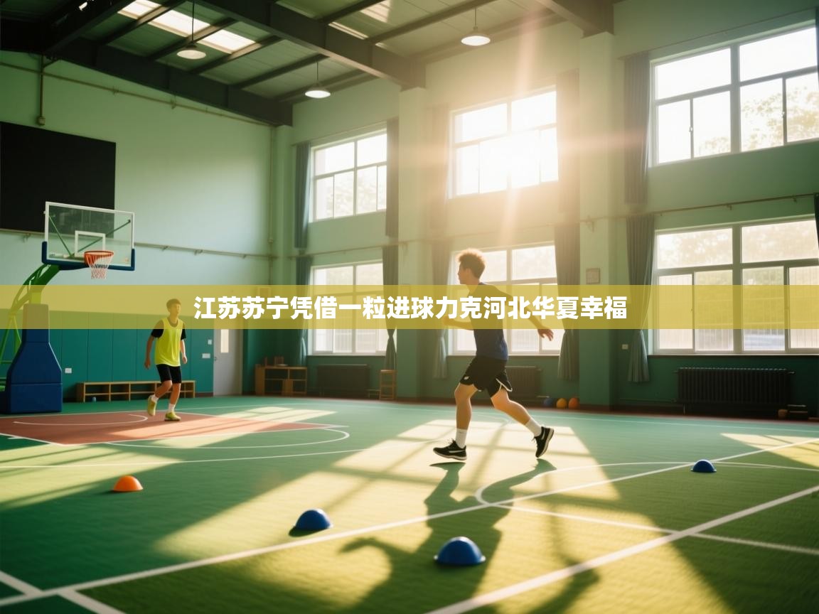 江苏苏宁凭借一粒进球力克河北华夏幸福  第2张