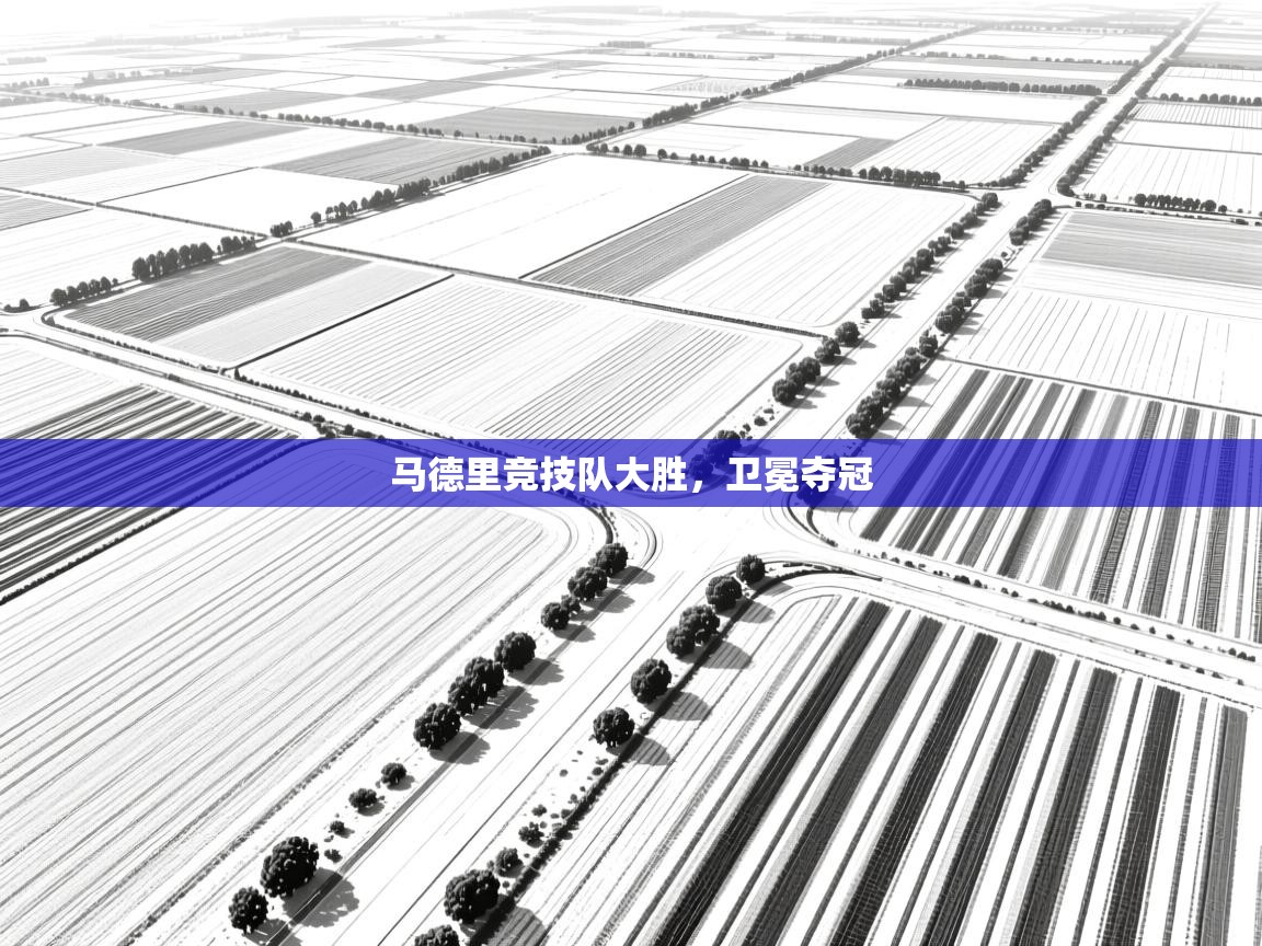 马德里竞技队大胜，卫冕夺冠