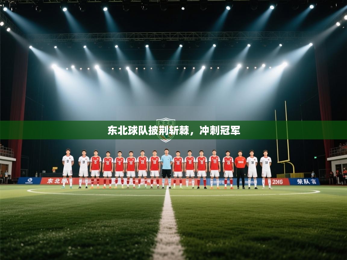 东北球队披荆斩棘，冲刺冠军