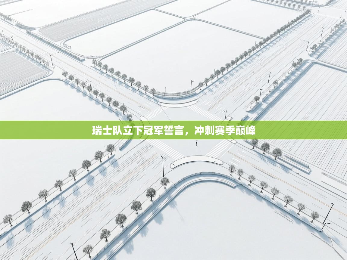 瑞士队立下冠军誓言，冲刺赛季巅峰  第1张