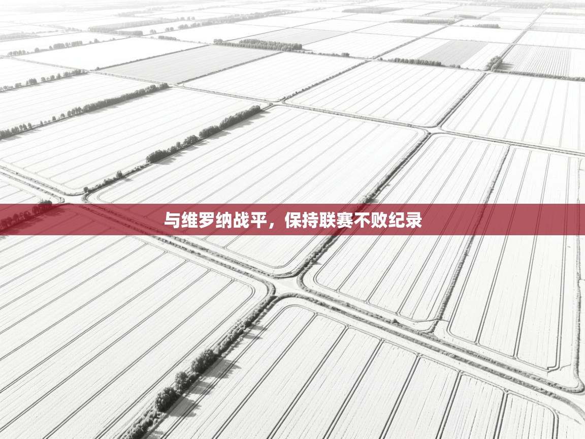 与维罗纳战平，保持联赛不败纪录  第1张