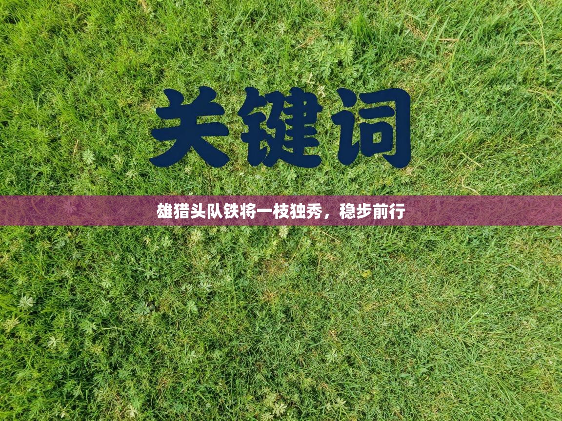 雄猎头队铁将一枝独秀,稳步前行