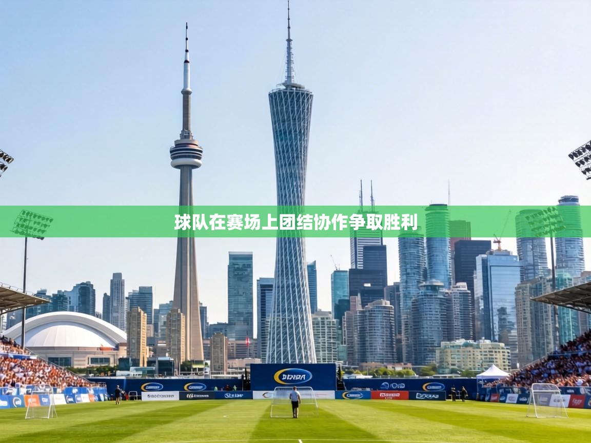 球队在赛场上团结协作争取胜利